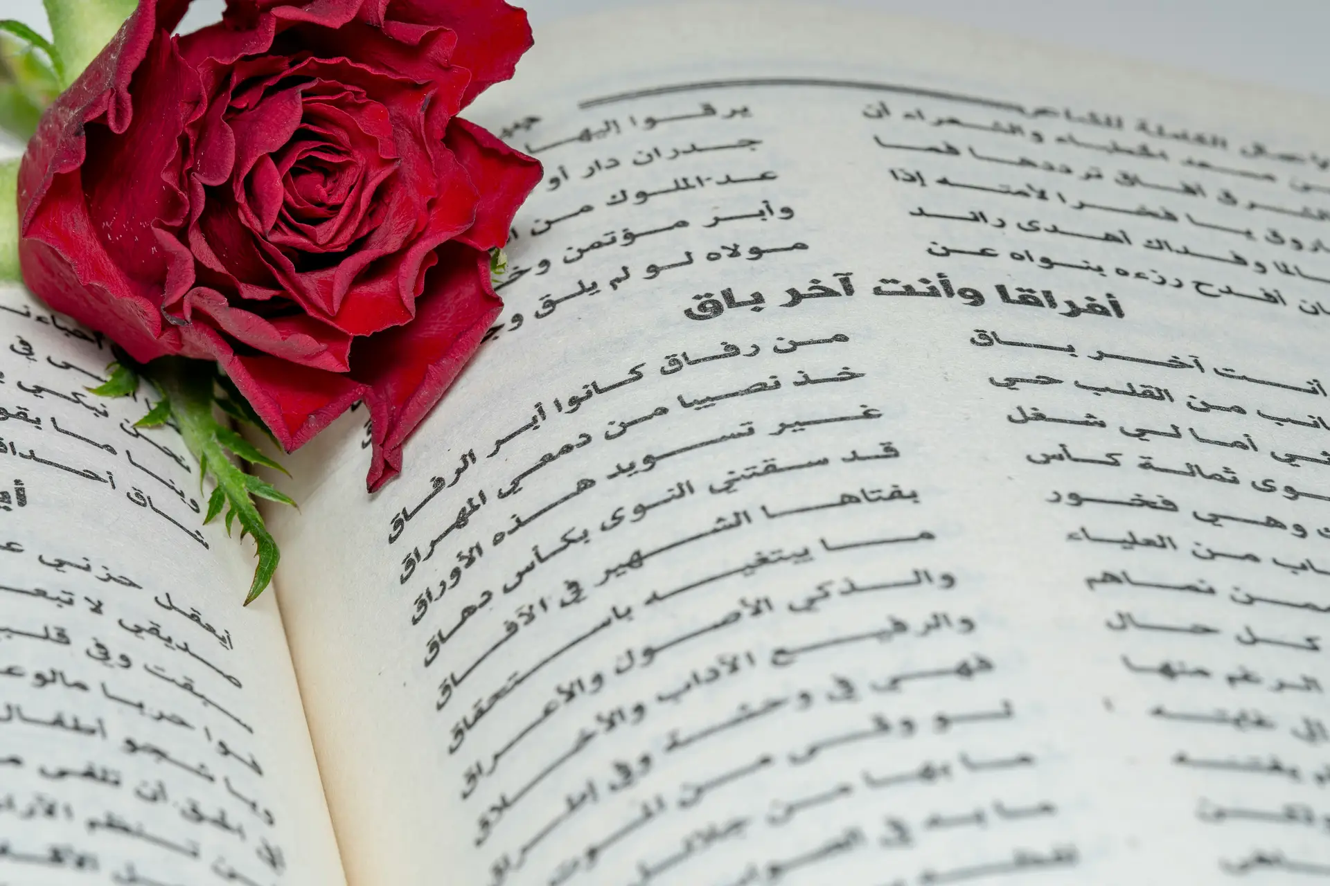 Aufgeschlagenes Buch mit arabischen Schriftzeichen neben lateinischem Text